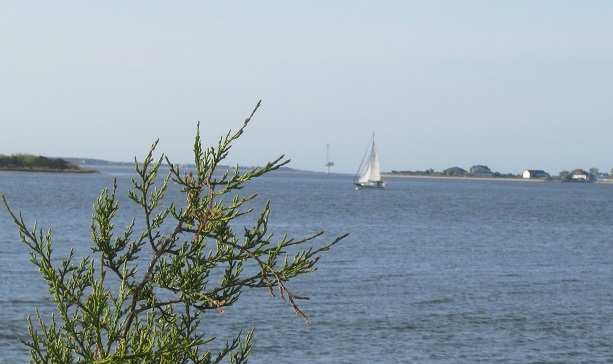 sailboat on the river at Southport NC
